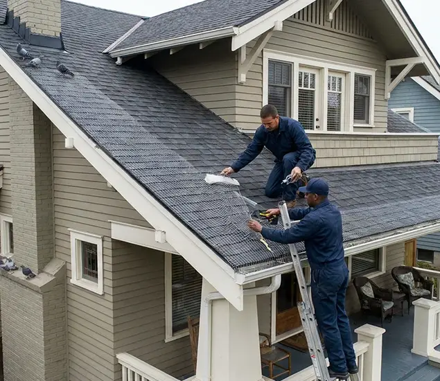 Your Pigeon Control Experts in Belleville, NJ