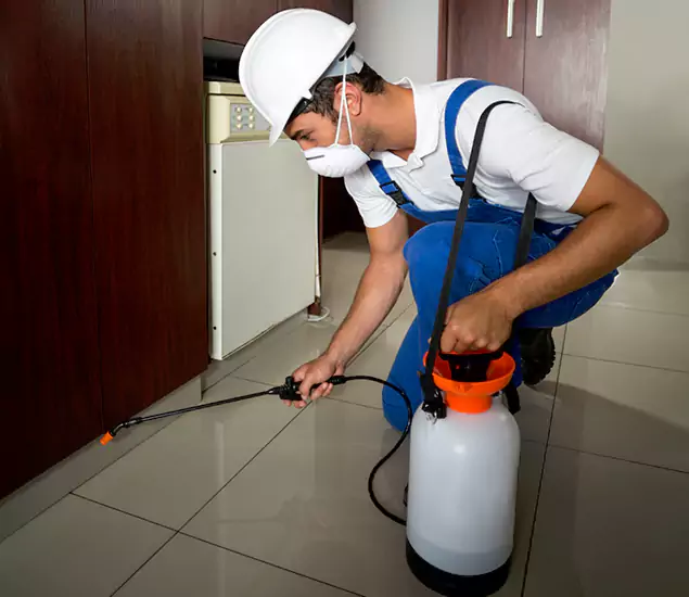 Advanced Termite Pre Treatment Experts in Belleville, NJ