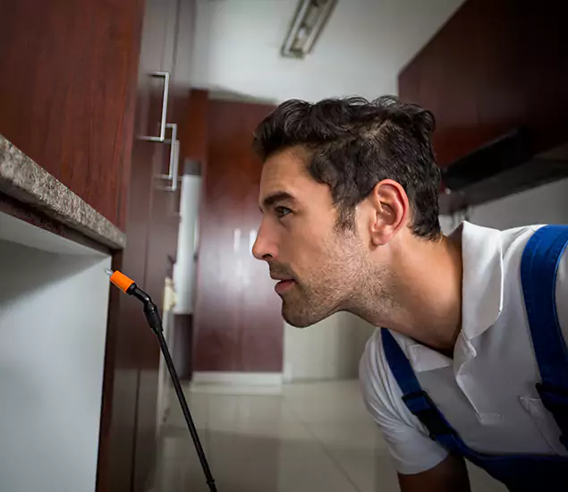 Expert Rodent in Attic Removal: Your Proven Pest Specialists in Belleville, NJ