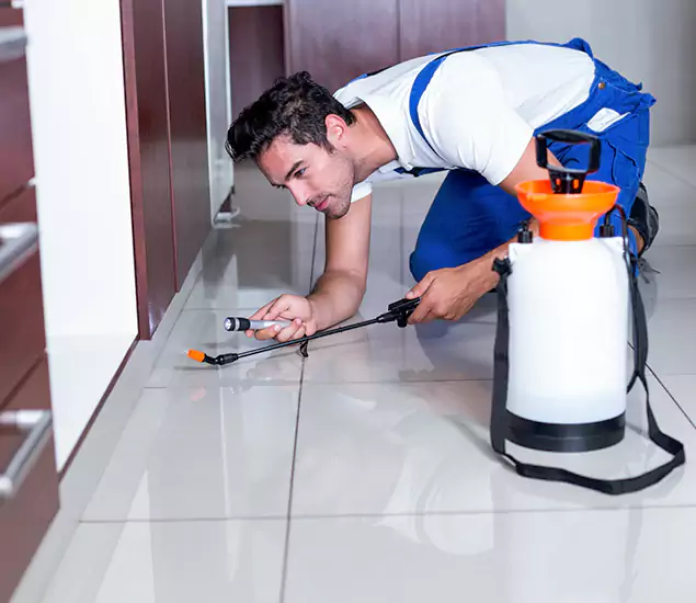 Advanced Slab Termite Treatment Experts You Can Trust&nbsp;in Belleville, NJ