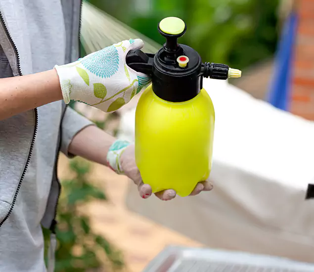 Skilled Residential Small Black Ant Service in Belleville, NJ