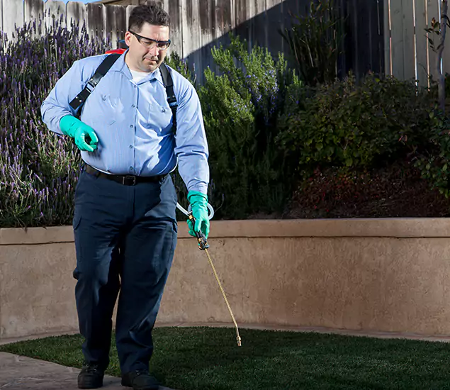 Reliable Termite Barrier Treatment Experts in Belleville, NJ