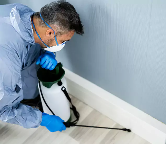 Reliable Termite Cost Experts in Belleville, NJ