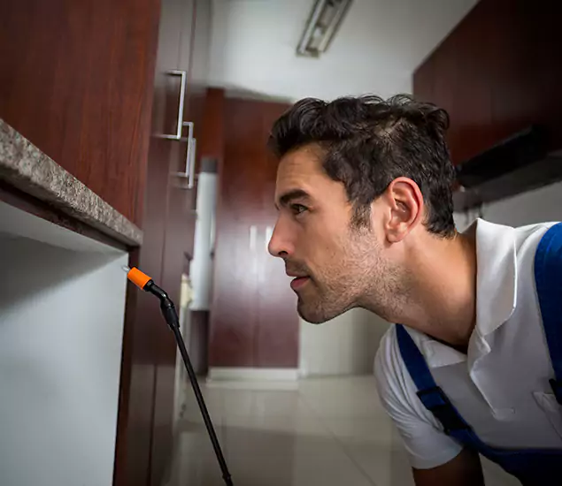 Termite Inspection Cost Experts You Can Trust in Belleville, NJ