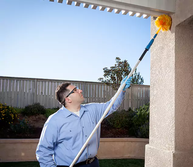 Your Trusted Wasp Removal Company in Belleville, NJ