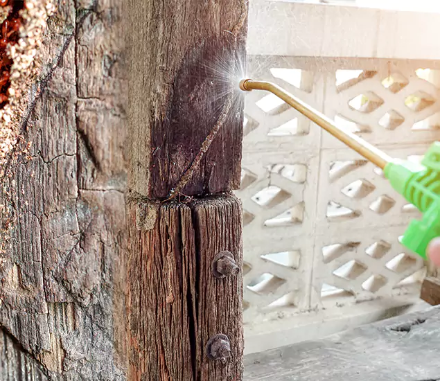 About Wood Termite Treatment Services in Belleville, NJ