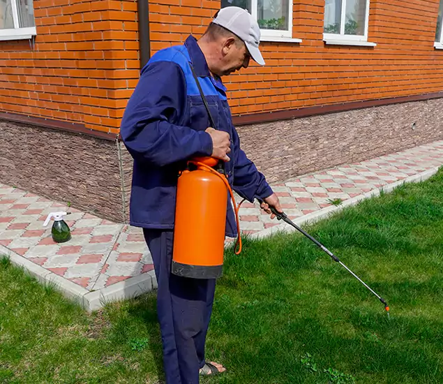 Your Yellow Jacket Pest Control Experts in Belleville, NJ