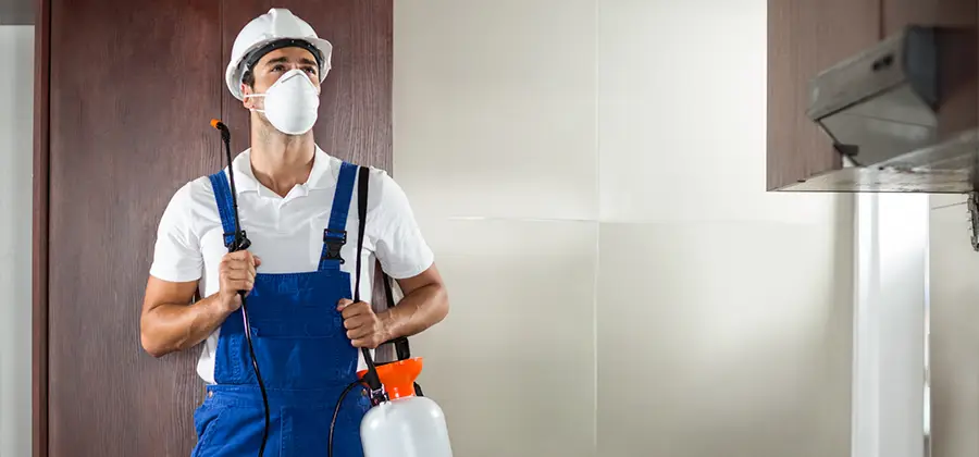 Per Room Bed Bug Cost in Belleville