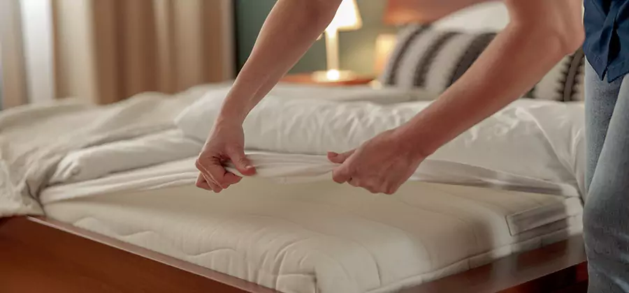 Bed Bug Extermination Services in Belleville