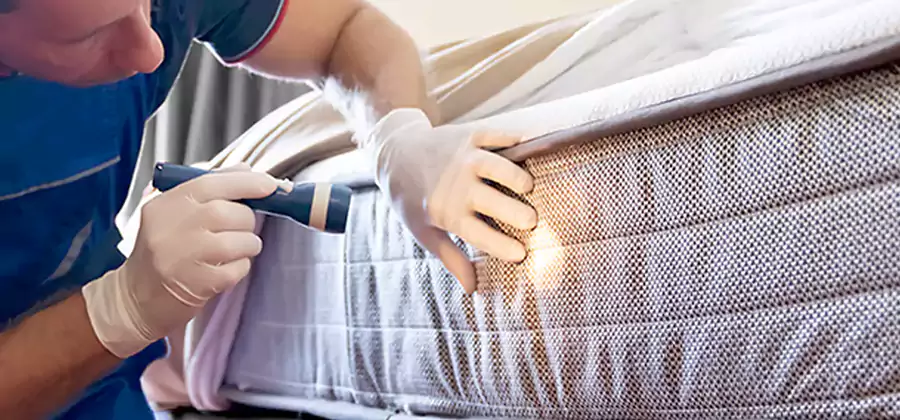 Residential Bed Bug Treatment Cost in Belleville