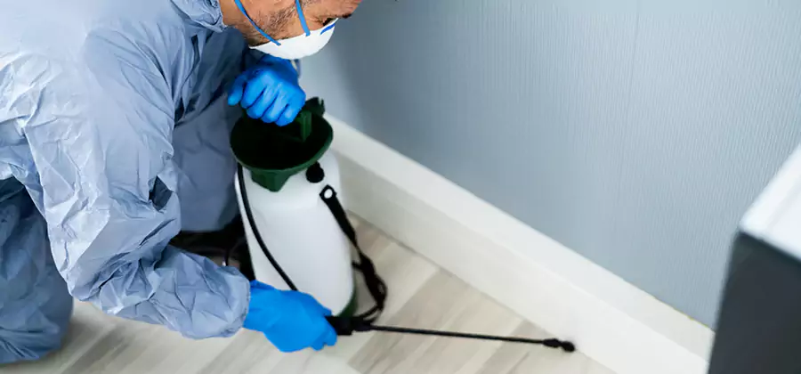 Fumigate Apartment Roaches in Belleville