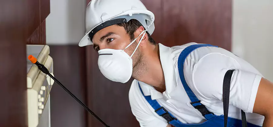 Injection Foam Treatment for Drywood Termites in Belleville