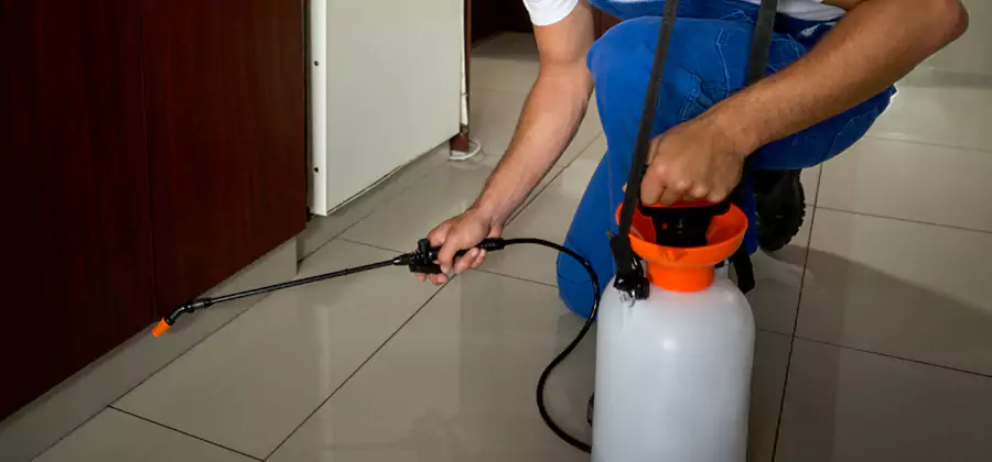 Indoor Mosquito Treatment in Belleville