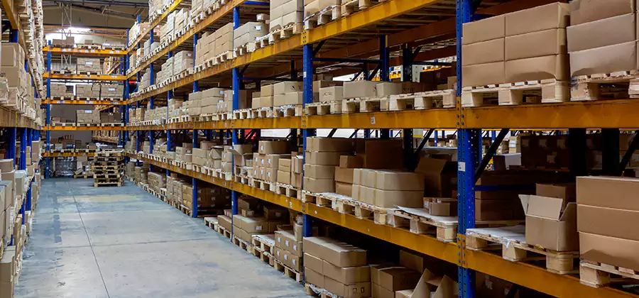 Warehouse Pest Control in Belleville