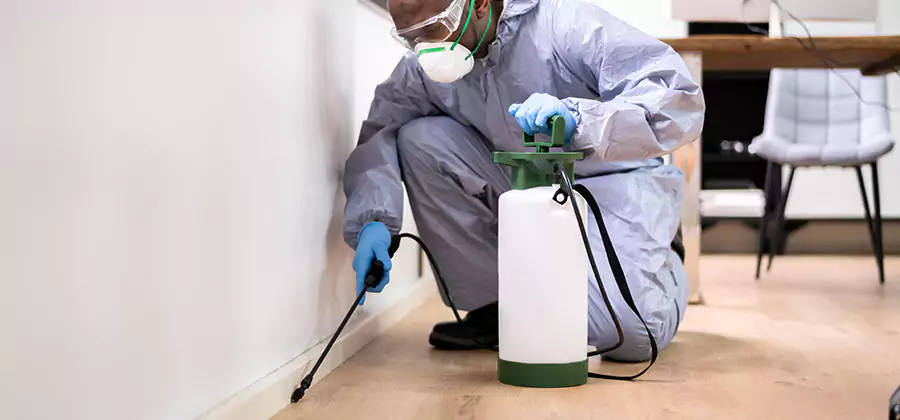Long Lasting Mosquito Treatment in Belleville