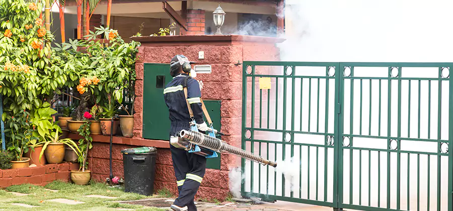Backyard Mosquito Foggers Service in Belleville
