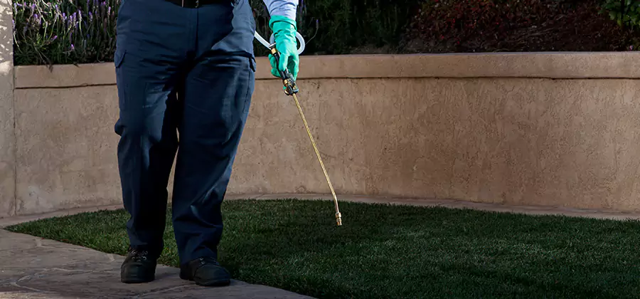 Soil Treatment for New Construction Termites in Belleville