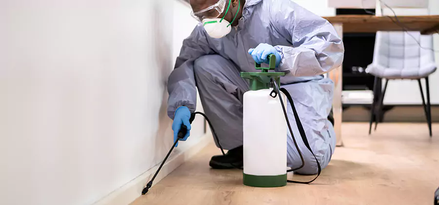 No Tent Termite Extermination With Electric Tool in Belleville