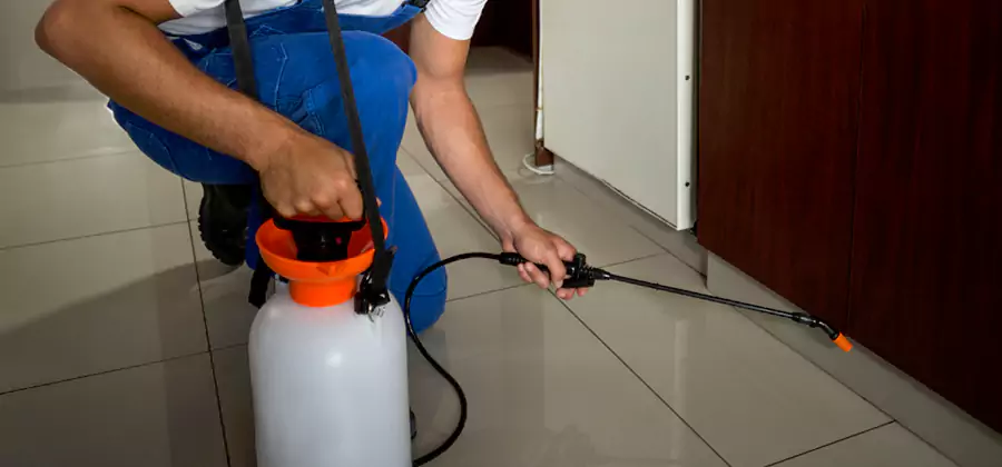 One Time Termite Control in Belleville