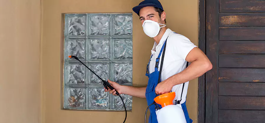 Physical Termite Barrier Installation in Belleville