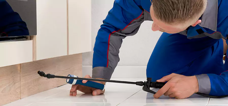 Moisture Treatment For Termite Control Service in Belleville