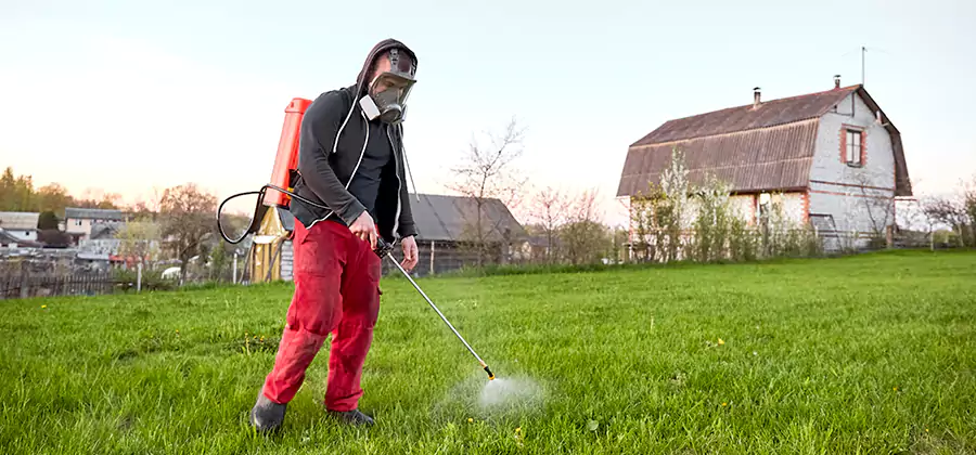 Flea and Tick Pest Control in Belleville