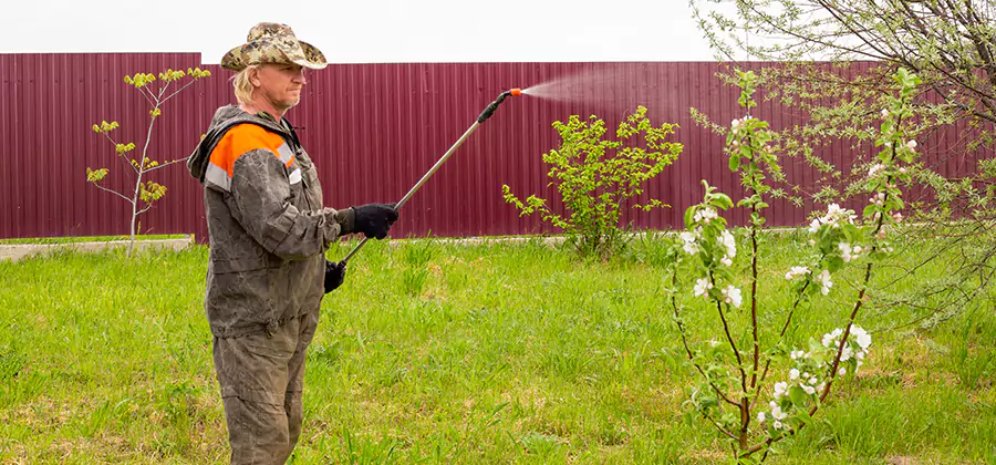 Flea and Tick Spray for Yard in Belleville