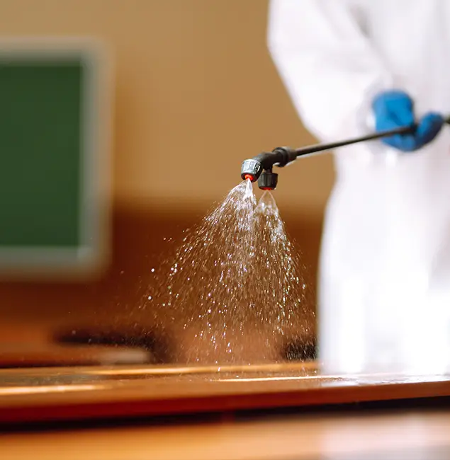 Why Choose Belleville Pest Control Pro for Bed Bug Chemical Treatment in Belleville, NJ?