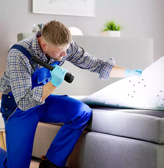 Why Choose Belleville Pest Control Pro For Bed Bug Heat Treatment in Belleville, NJ?