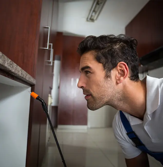 Why Choose Belleville Pest Control Pro for Bed Bug Removal Cost in Belleville, NJ?