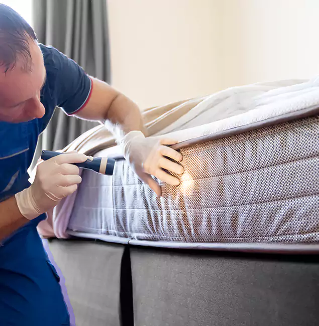 Why Choose Belleville Pest Control Pro for Bed Bug Services in Belleville, NJ?