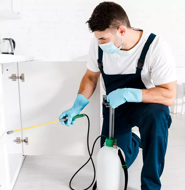 Why Choose Belleville Pest Control Pro for Emergency Pest Control in Belleville?