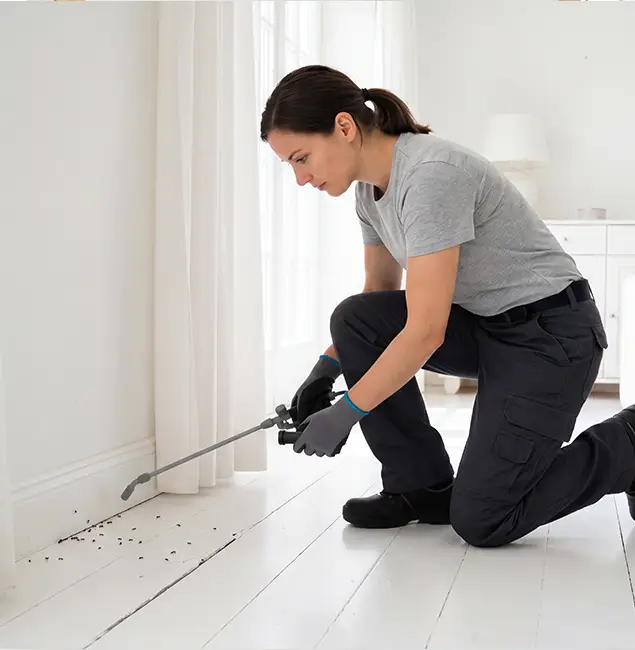 Why Belleville, NJ Property Owners Trust Belleville Pest Control Pro for Fire Ant Control?