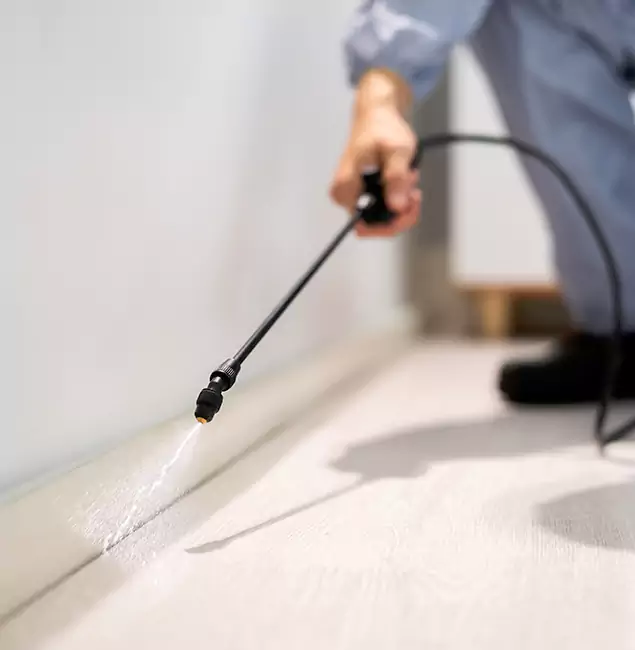 Why Choose Belleville Pest Control Pro for Termite Treatment in Belleville, NJ?