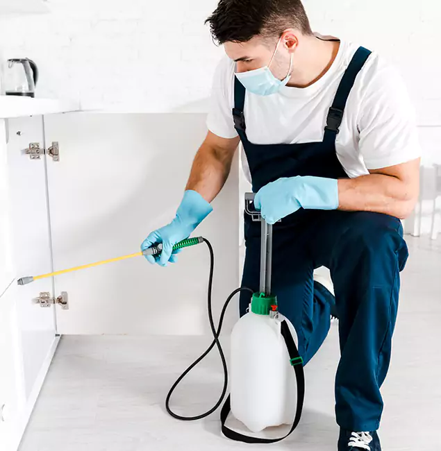 Why Belleville, NJ Homeowners Trust Us for German Roach Control?