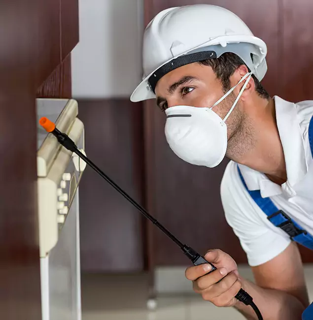 Why Belleville Homeowners Rely on Belleville Pest Control Pro for Tick Treatment?