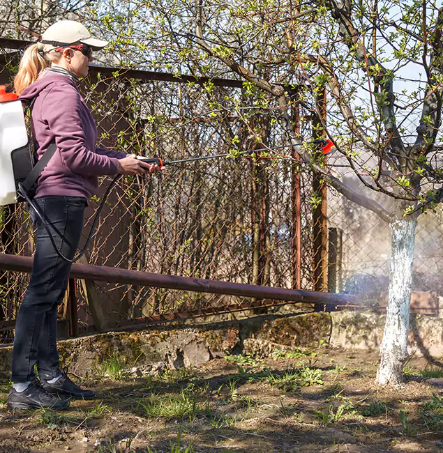 Why Belleville Homeowners Choose Belleville Pest Control Pro for Mosquito Abatement?