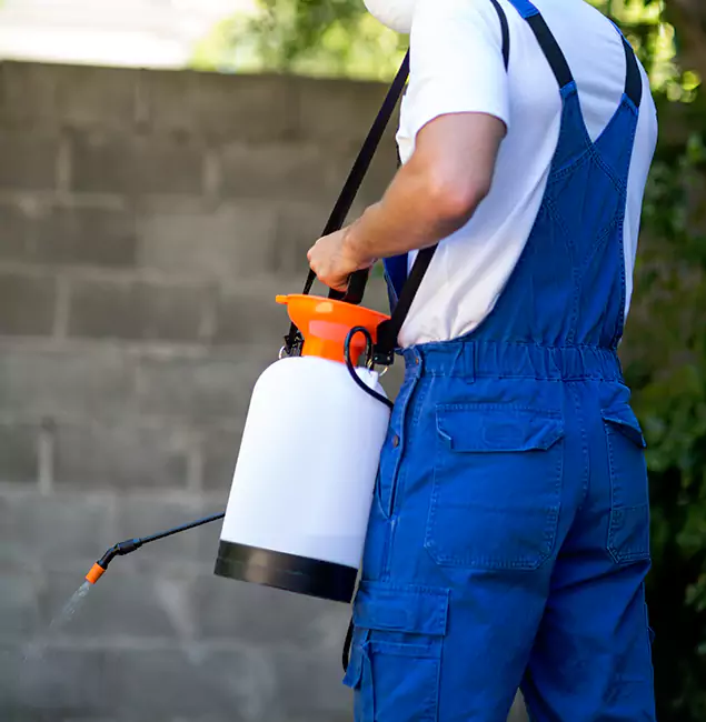 Why Belleville Homeowners Rely on Belleville Pest Control Pro for Mosquito Control?