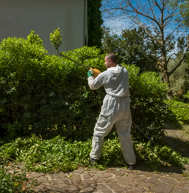 Why Belleville Pest Control Pro Leads Mosquito Control in Belleville, NJ?