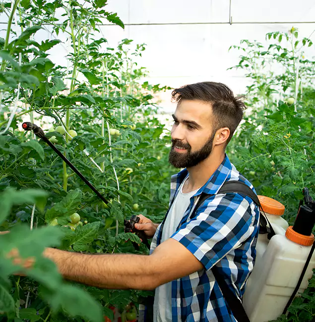 Why Belleville Homeowners Choose Belleville Pest Control Pro for Mosquito Spraying?