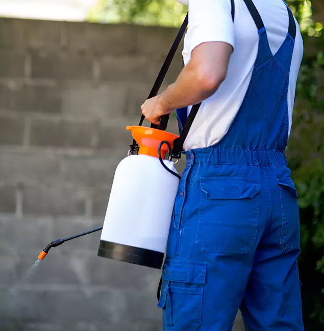 Why Belleville Pest Control Pro Delivers the Best Mosquito Control in Belleville, NJ?