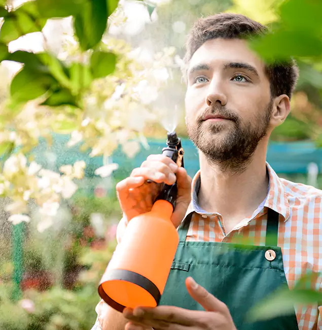Why Belleville Homeowners Call Belleville Pest Control Pro for Mosquitoes in House?