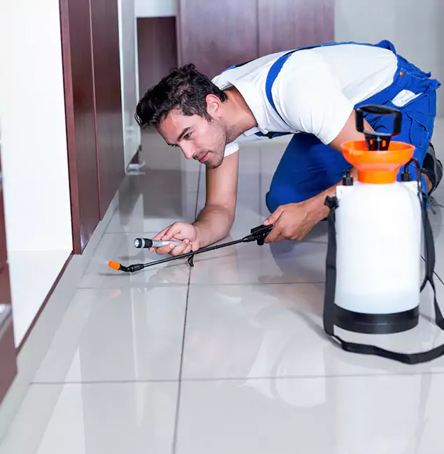 Why Belleville Pest Control Pro Is the Proven Choice in Belleville, NJ?