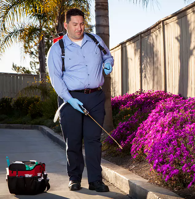 Why Choose Belleville Pest Control Pro in Belleville, NJ?