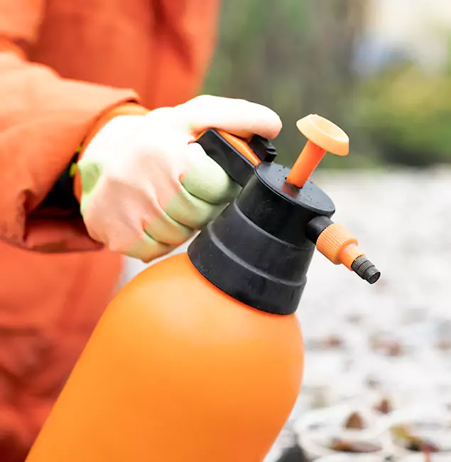 Why Choose Belleville Pest Control Pro for Orange Termite Treatment in Belleville, NJ?