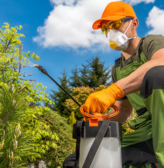 Why Choose Belleville Pest Control Pro for Outdoor Pest Control in Belleville, NJ?