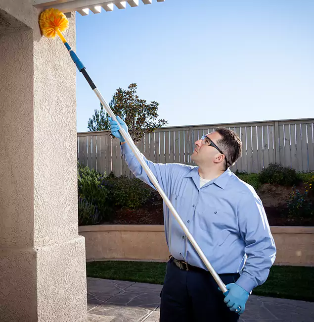 Why Choose Belleville Pest Control Pro for Pest Control Services in Belleville, NJ?