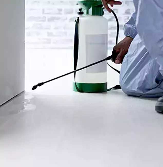 Why Choose Belleville Pest Control Pro for Rat Exterminator in Belleville, NJ?