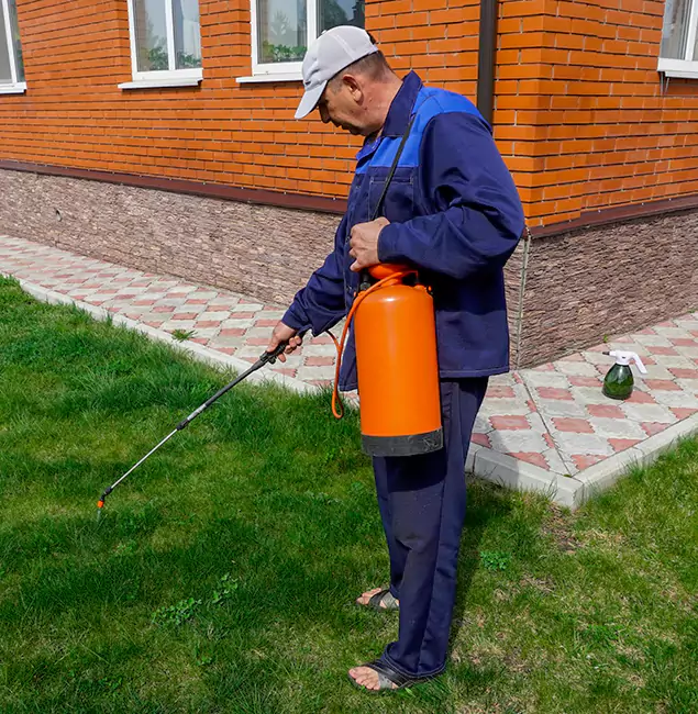 Why Choose Belleville Pest Control Pro for Residential Pest Control in Belleville, NJ?
