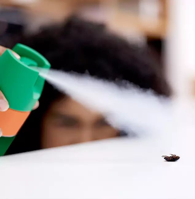 Why Belleville, NJ Homeowners Choose Belleville Pest Control Pro for Roach Pest Control?